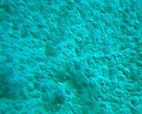 ͼ7B