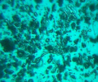 ͼ6A