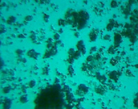 ͼ8A