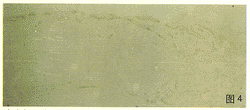 tb104.gif (10123 bytes)
