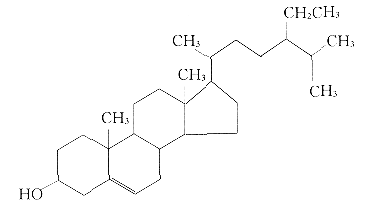 9802t1.gif (4537 bytes)