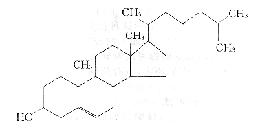 9802t2.gif (8391 bytes)