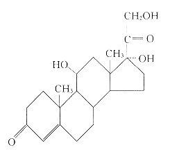 9802t3.gif (4031 bytes)