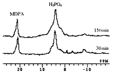 01.gif (2481 bytes)