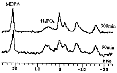 12.gif (2892 bytes)
