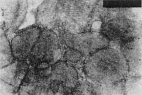 0205.gif (18953 bytes)