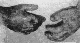 0901.gif (10953 bytes)