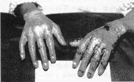 0902.gif (8683 bytes)