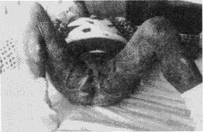 2206.gif (9540 bytes)