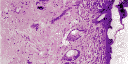0401.gif (10237 bytes)