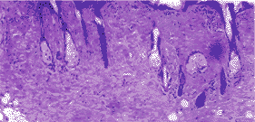 0402.gif (11276 bytes)