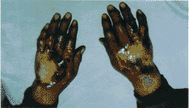 0405.gif (11973 bytes)