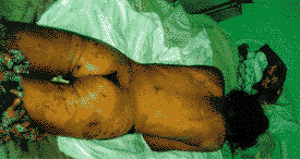 0408.gif (12139 bytes)